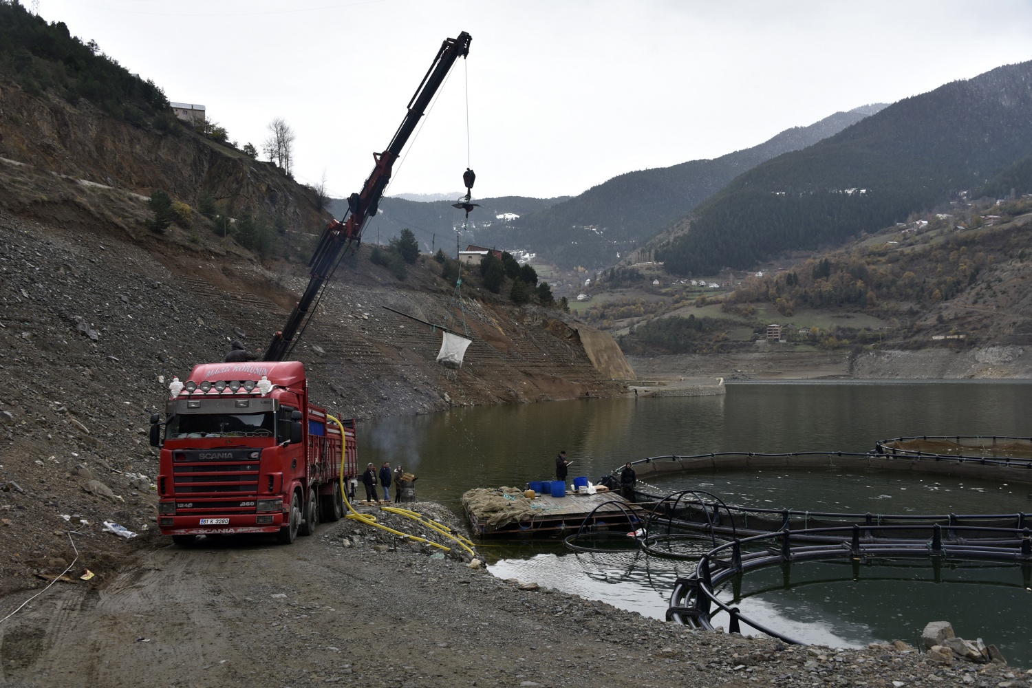 12 bin nüfuslu ilçeden milyon nüfuslu ülkelere balık ihraç ediliyor 37