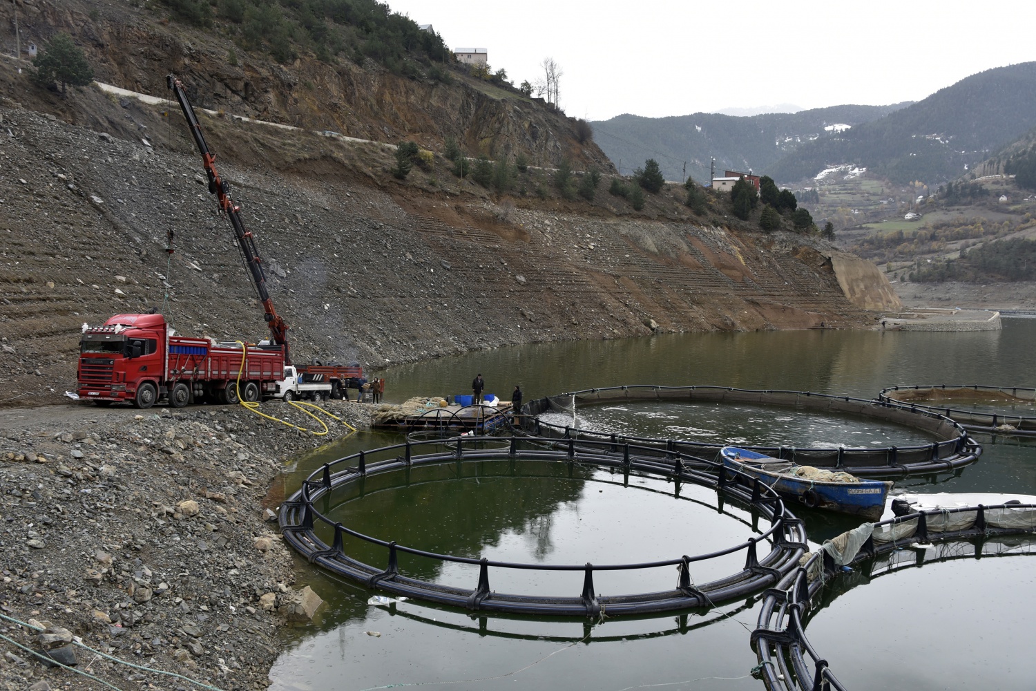 12 bin nüfuslu ilçeden milyon nüfuslu ülkelere balık ihraç ediliyor 47
