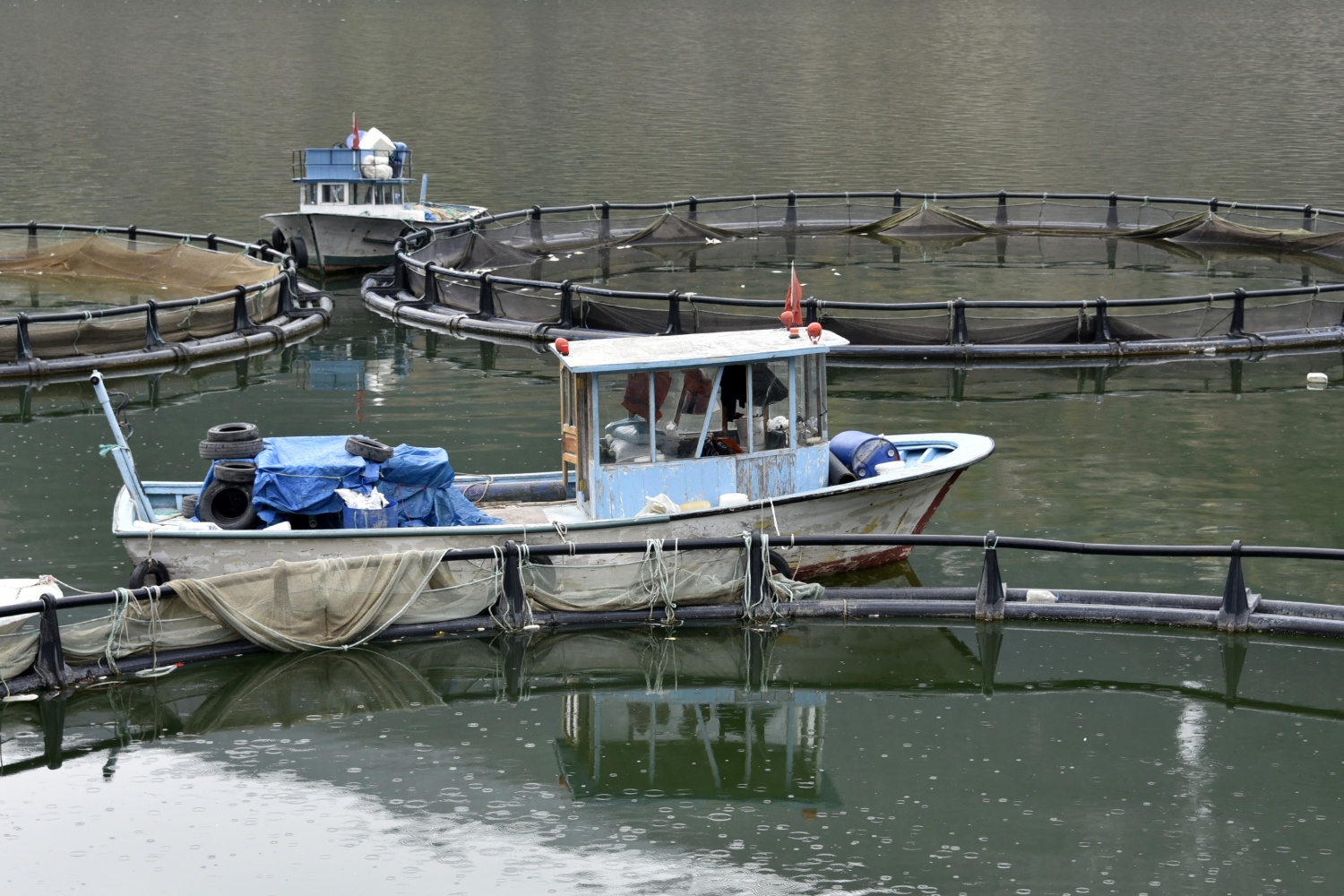 12 bin nüfuslu ilçeden milyon nüfuslu ülkelere balık ihraç ediliyor 42