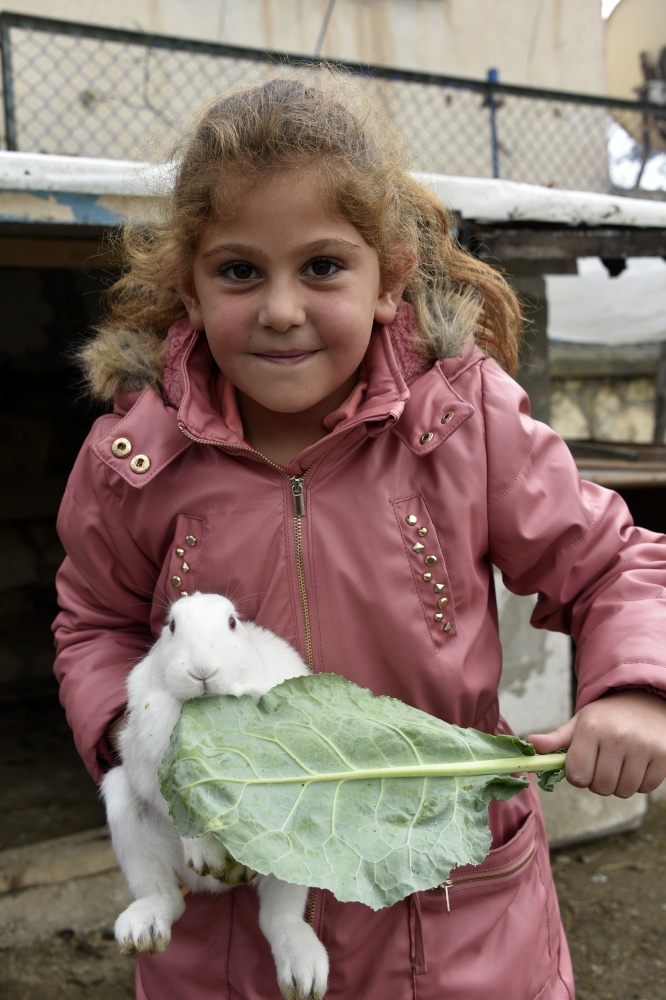 Köy okulunda mini hayvanat bahçesi kurdular 4