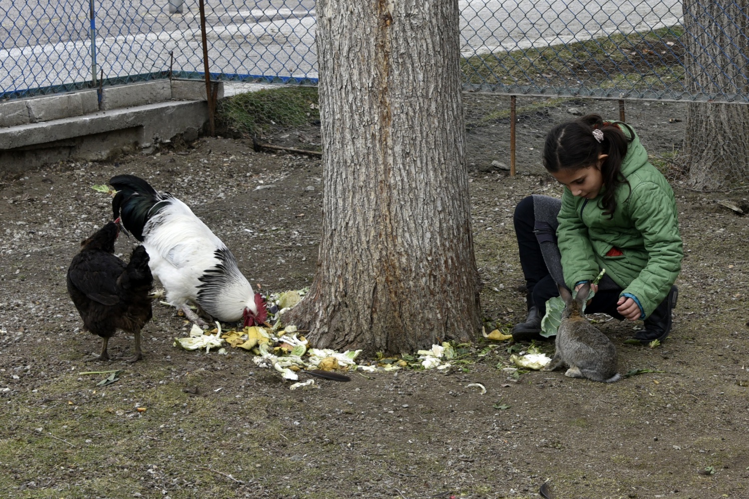 Köy okulunda mini hayvanat bahçesi kurdular 3