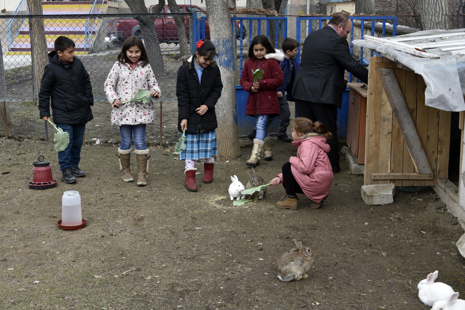 Köy okulunda mini hayvanat bahçesi kurdular 2