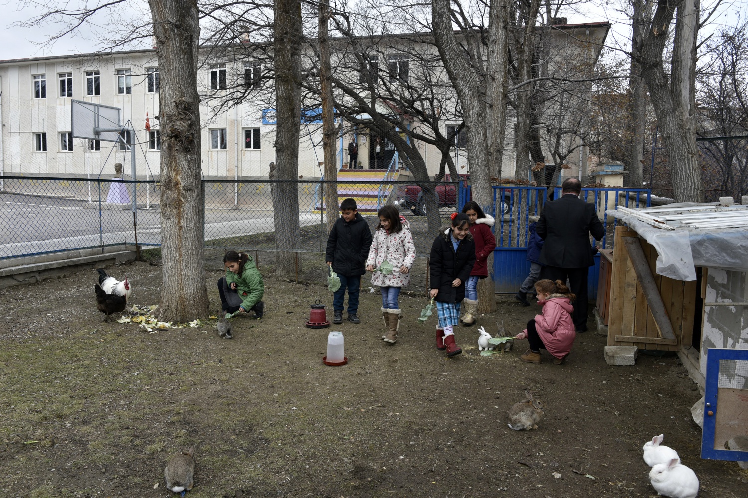 Köy okulunda mini hayvanat bahçesi kurdular 5