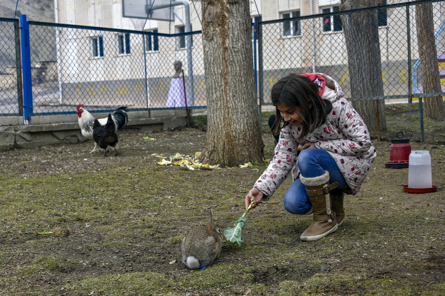 Köy okulunda mini hayvanat bahçesi kurdular 9