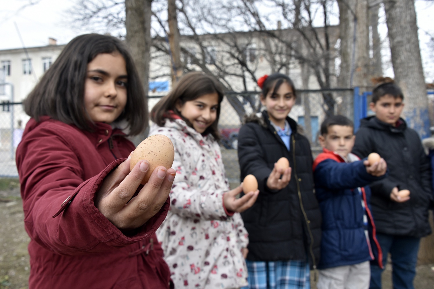 Köy okulunda mini hayvanat bahçesi kurdular 8