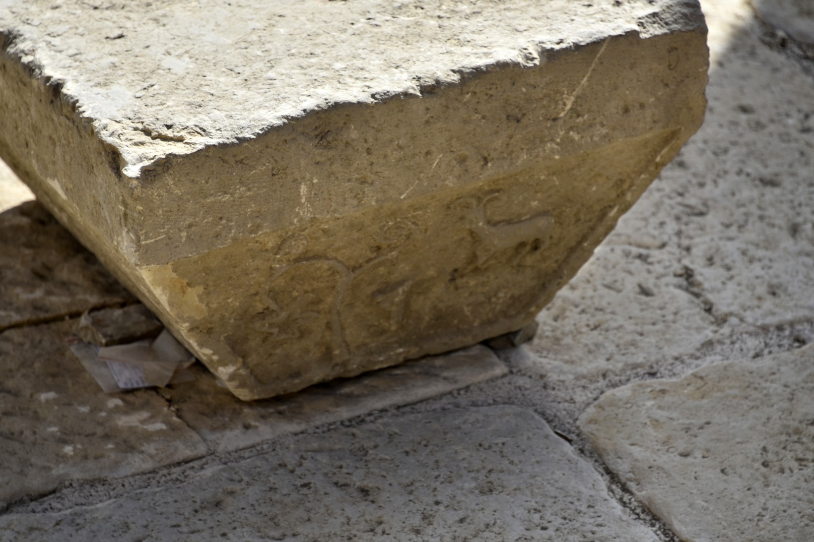Satala Antik Kenti'nde tarih yeniden yazılıyor 9