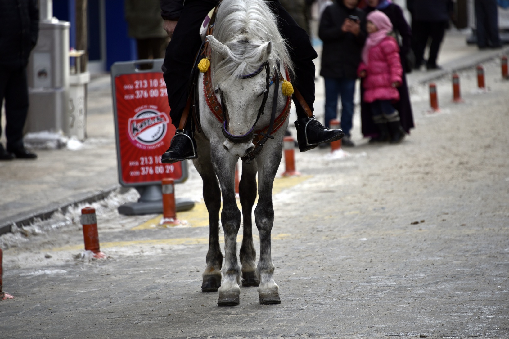 Gümüşhane’de kurtuluş coşkusu 102 yaşında 24