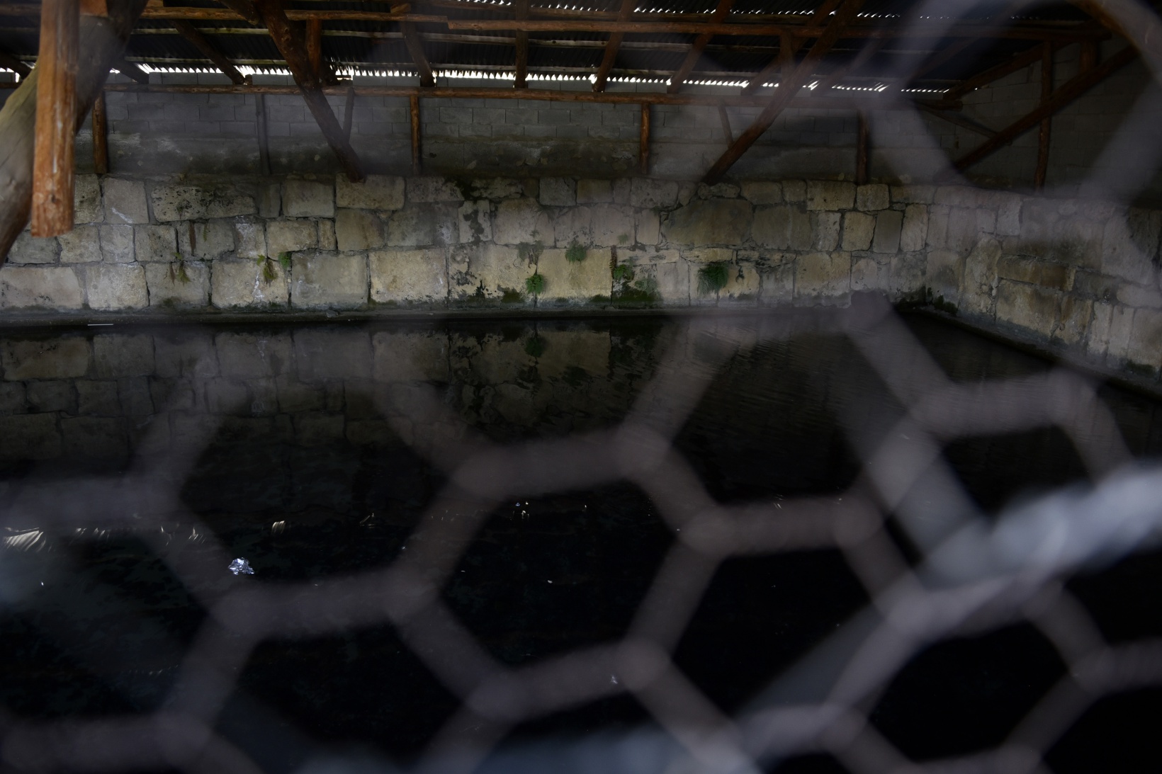 Satala Antik Kenti'nde tarih yeniden yazılıyor 3