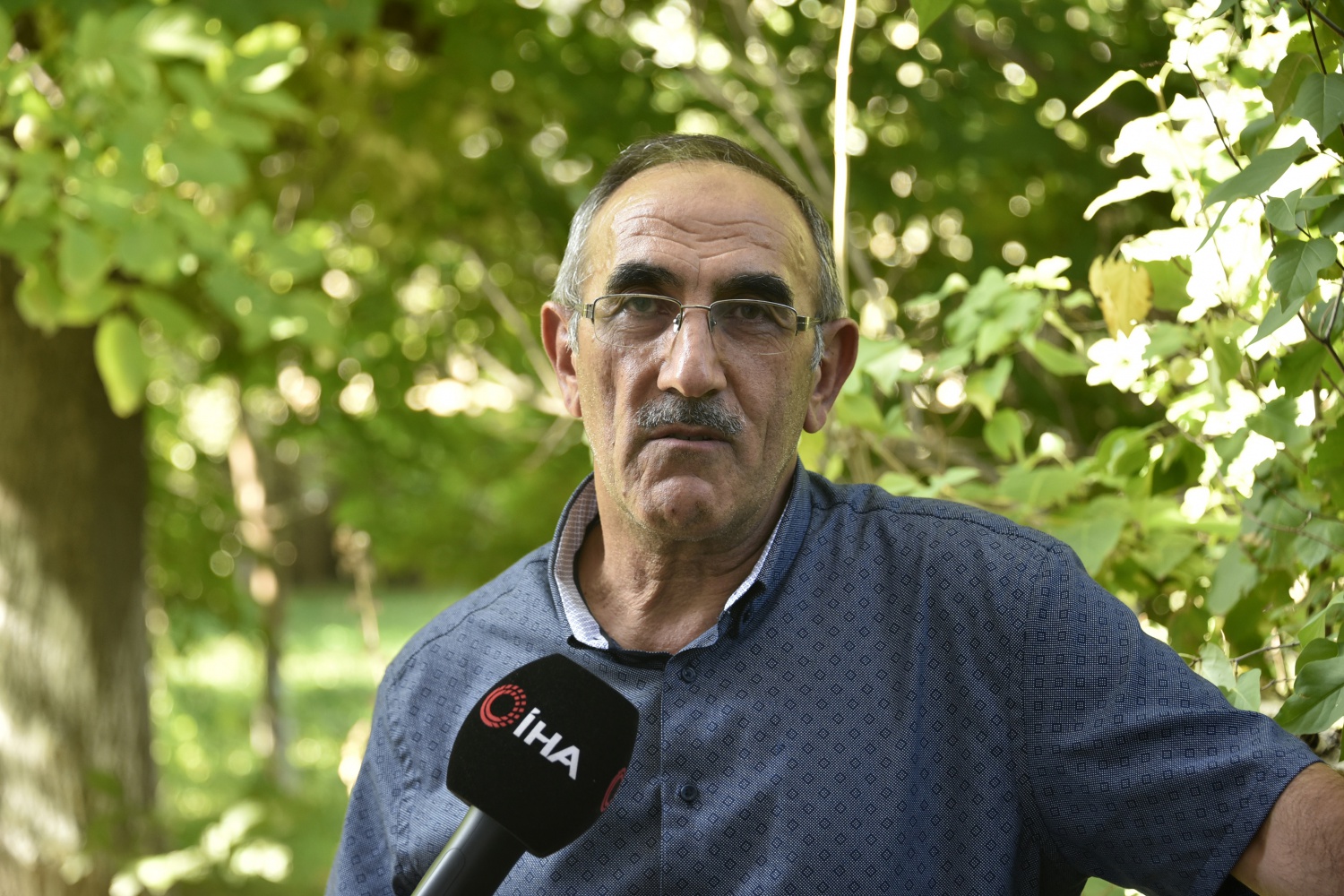 Gümüşhane’de son bir haftada 5 kişi ceviz ağacından düşerek ağır yaralandı 2