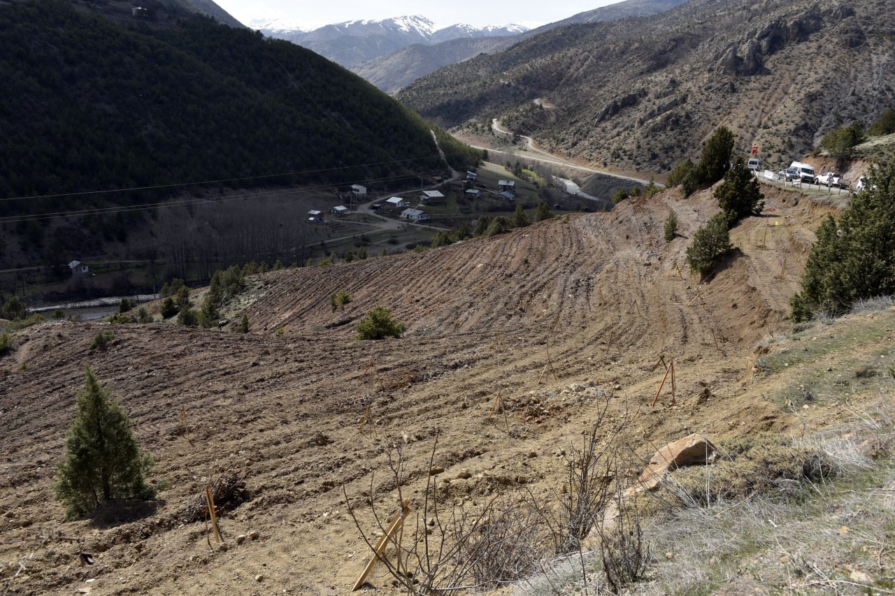 Gümüşhaneli Şehidin Adı Hatıra Ormanında Yaşatılacak 17
