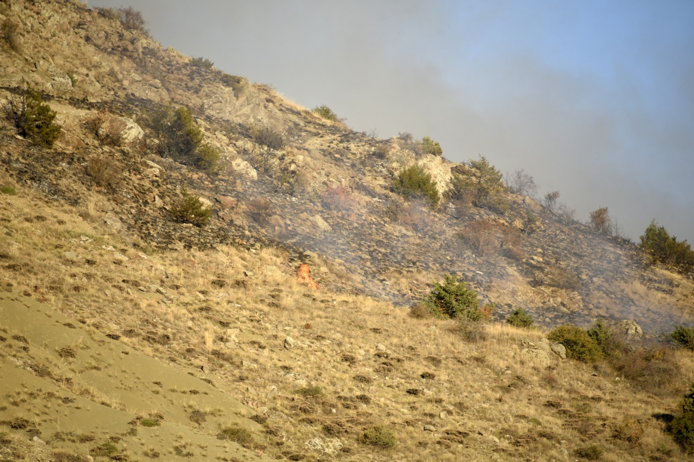 Gümüşhane’de iki ayrı orman ve örtü yangını 2