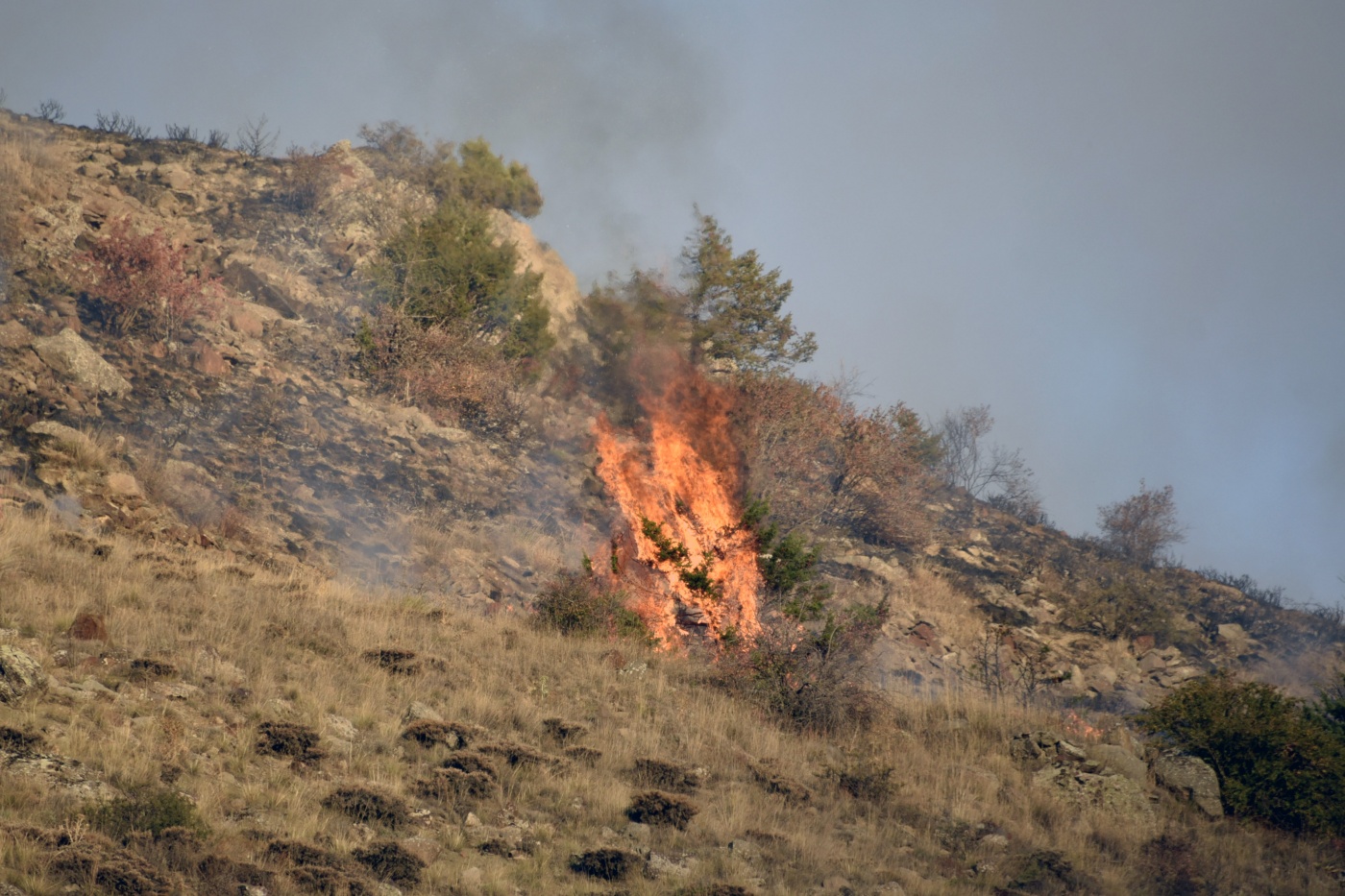 Gümüşhane’de iki ayrı orman ve örtü yangını 4
