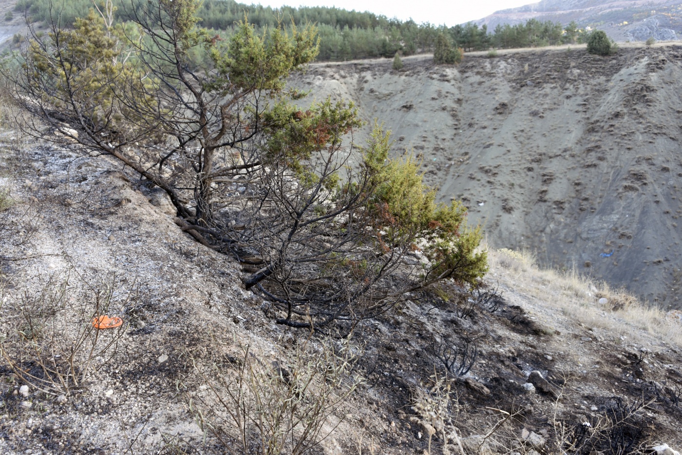 Gümüşhane’de iki ayrı orman ve örtü yangını 5