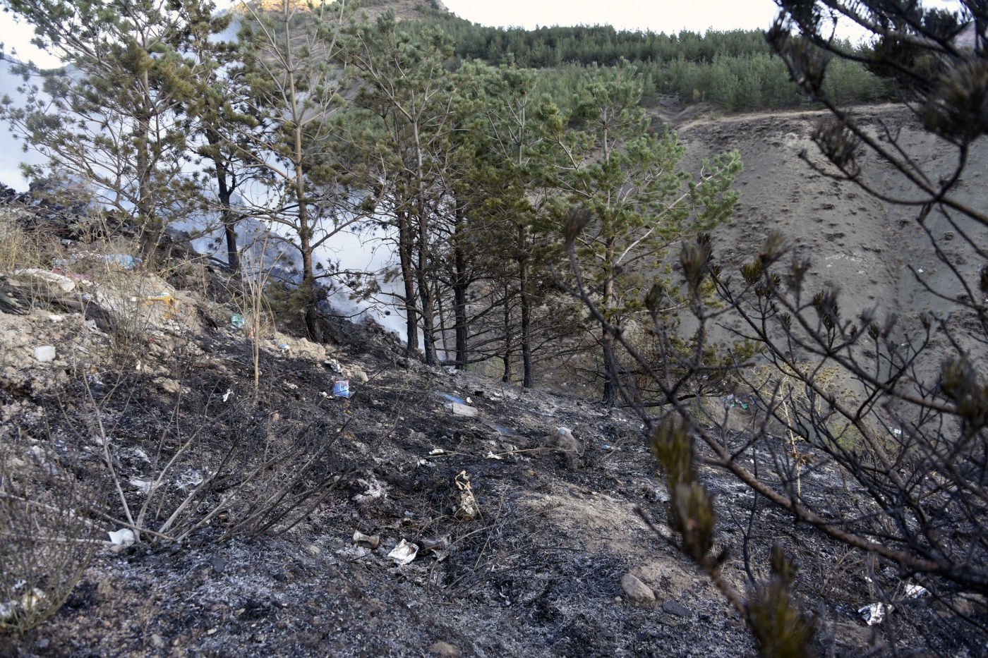 Gümüşhane’de iki ayrı orman ve örtü yangını 15