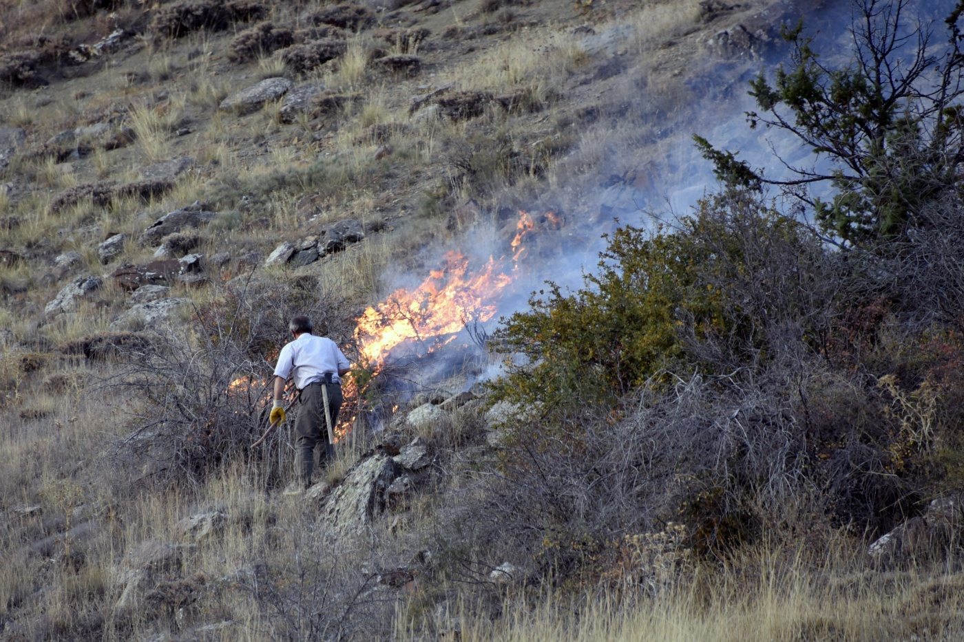 Gümüşhane’de iki ayrı orman ve örtü yangını 10
