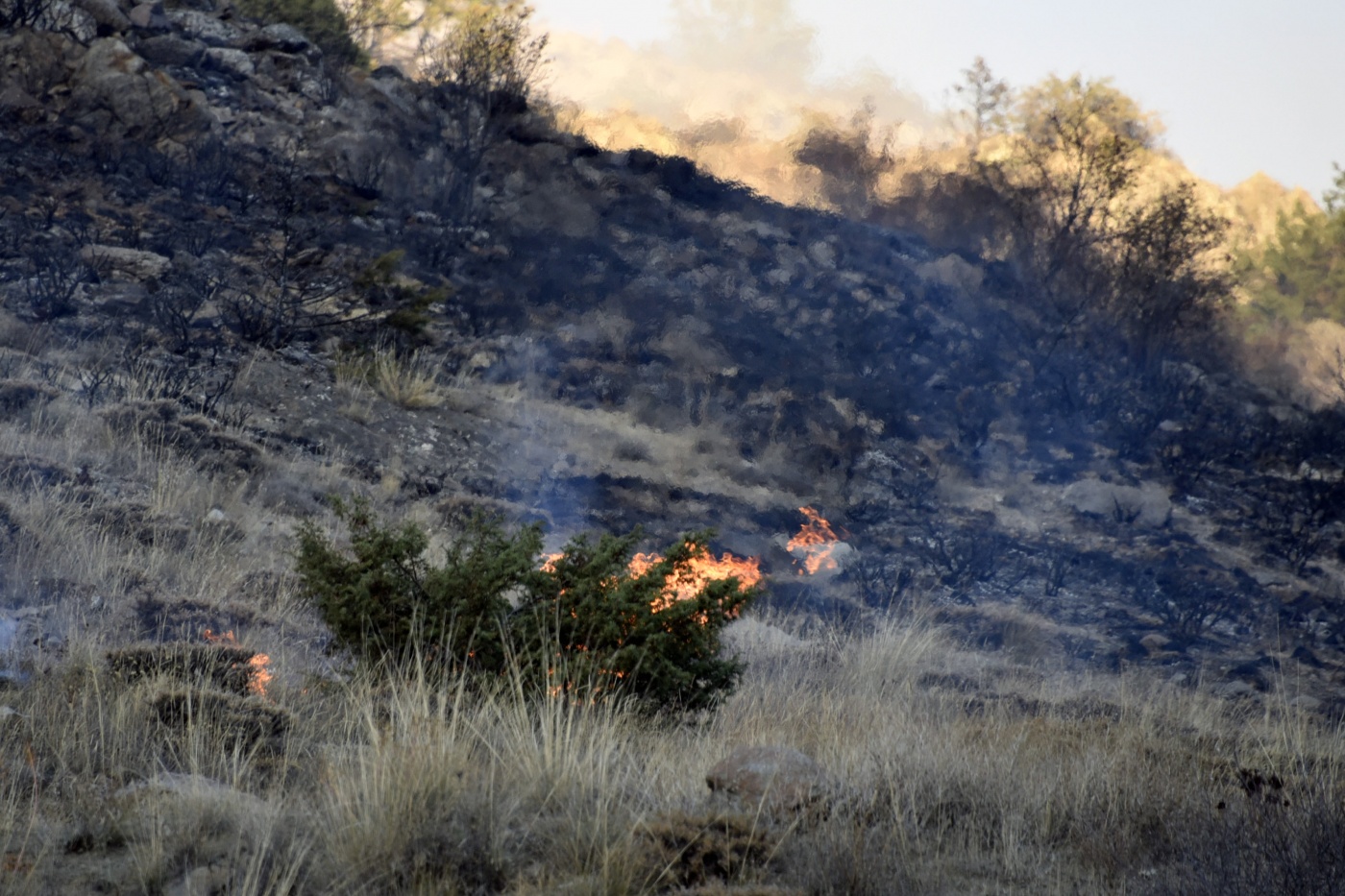 Gümüşhane’de iki ayrı orman ve örtü yangını 17