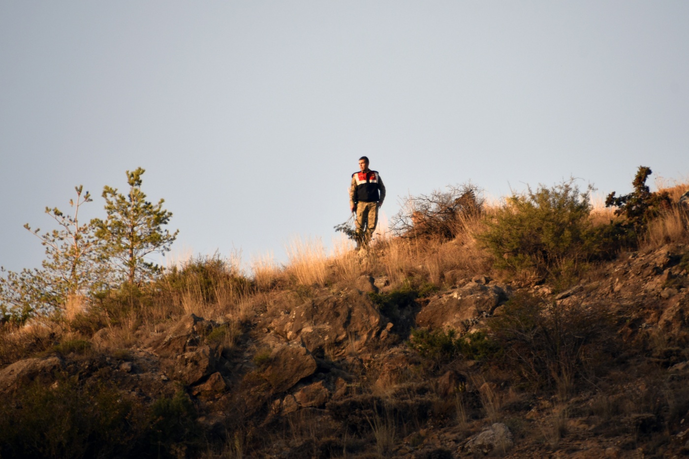 Gümüşhane’de iki ayrı orman ve örtü yangını 19