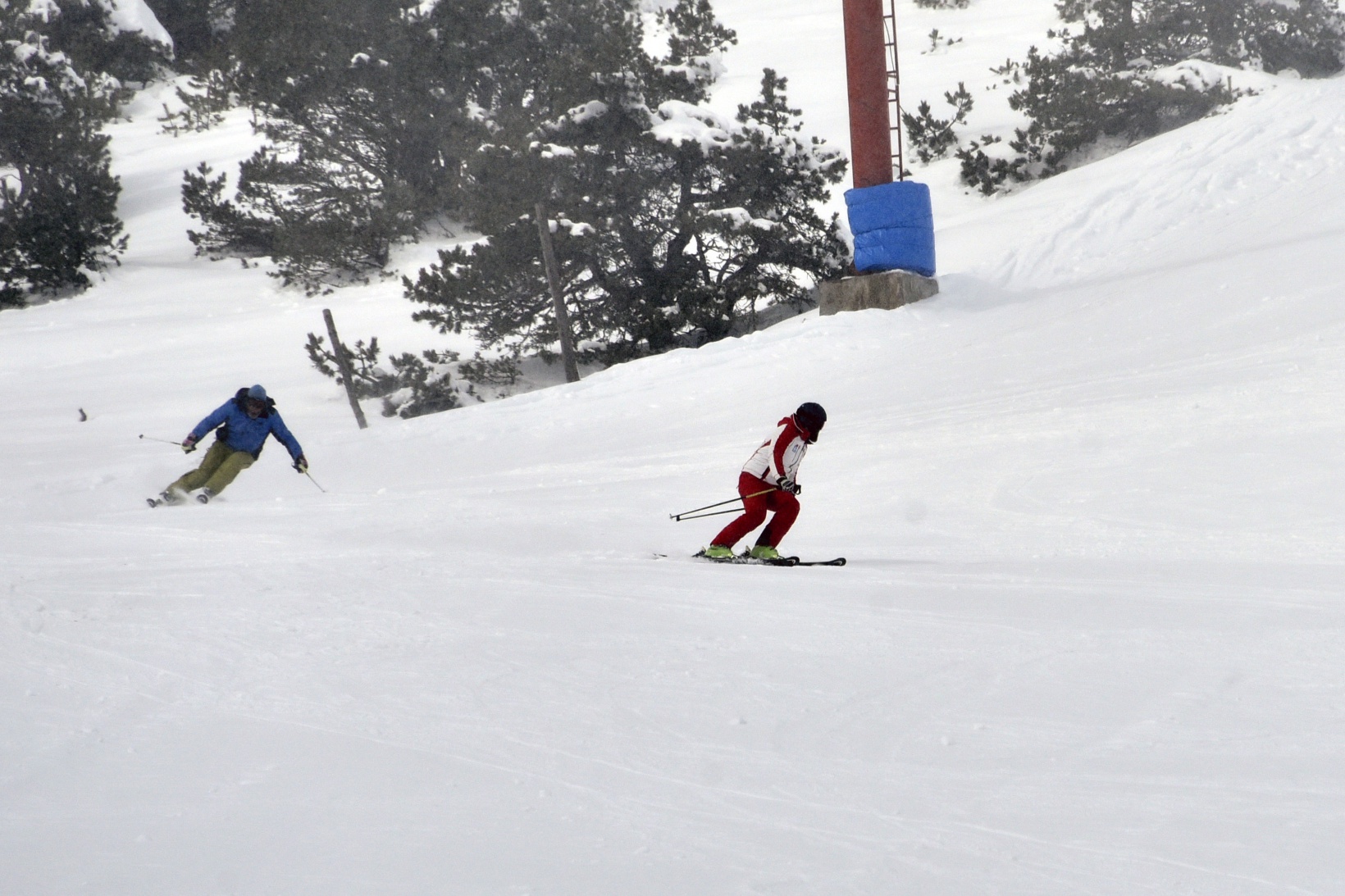 Zigana Dağında Kış Gençlik ve Spor Şenliği düzenlendi 28