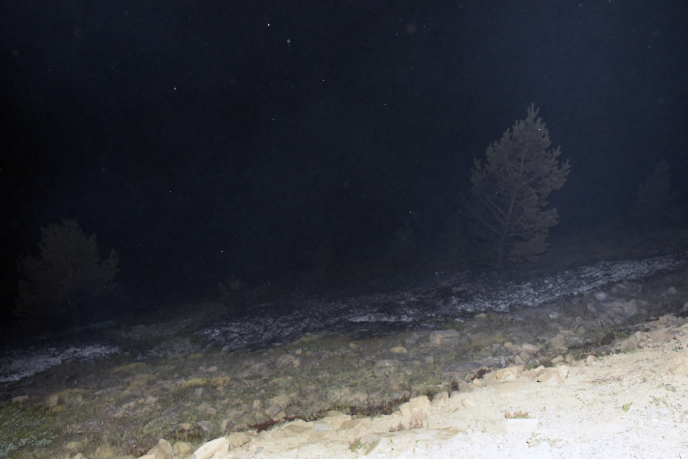 Gümüşhane’de iki ayrı orman ve örtü yangını 18