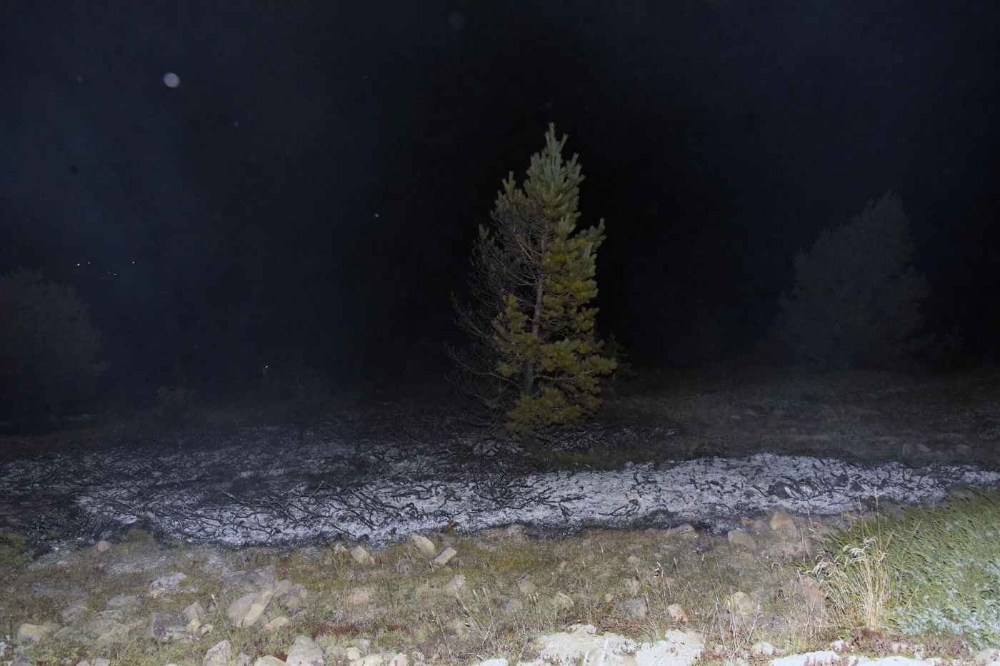 Gümüşhane’de iki ayrı orman ve örtü yangını 14