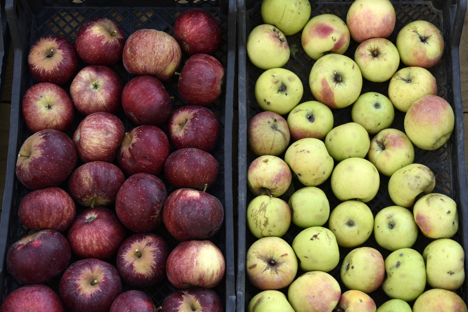 Karayolu kenarında ‘Askıda Elma’ 3