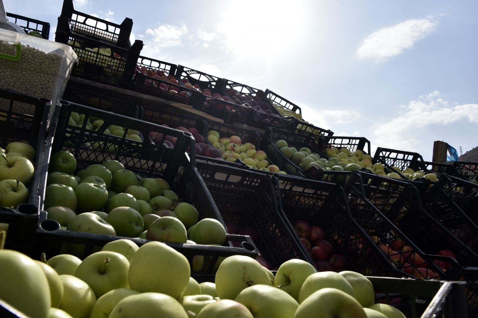 Karayolu kenarında ‘Askıda Elma’ 12