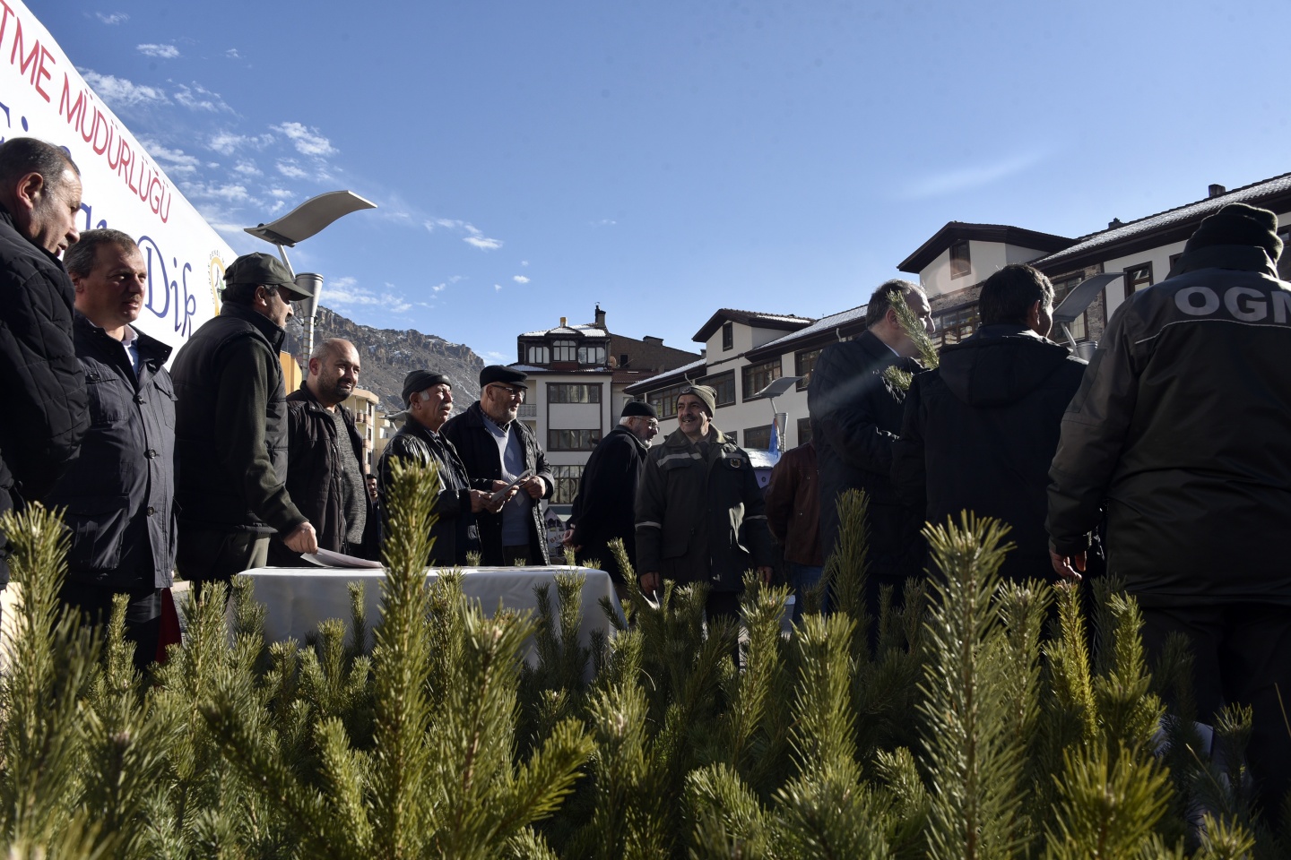 'Çam kesme, fidan dik' 4