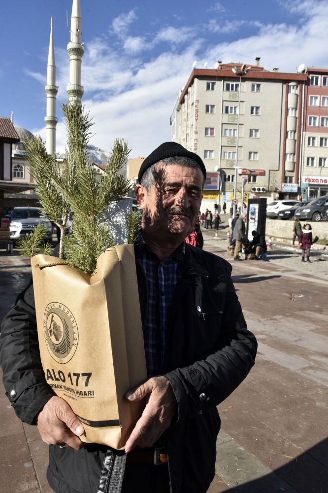 'Çam kesme, fidan dik' 8