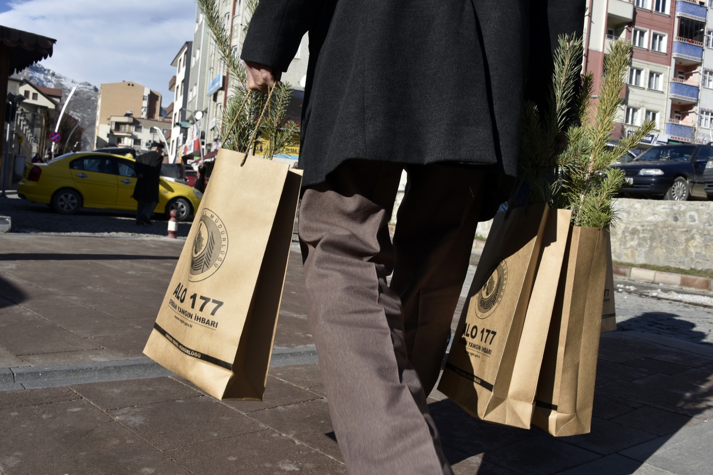 'Çam kesme, fidan dik' 10