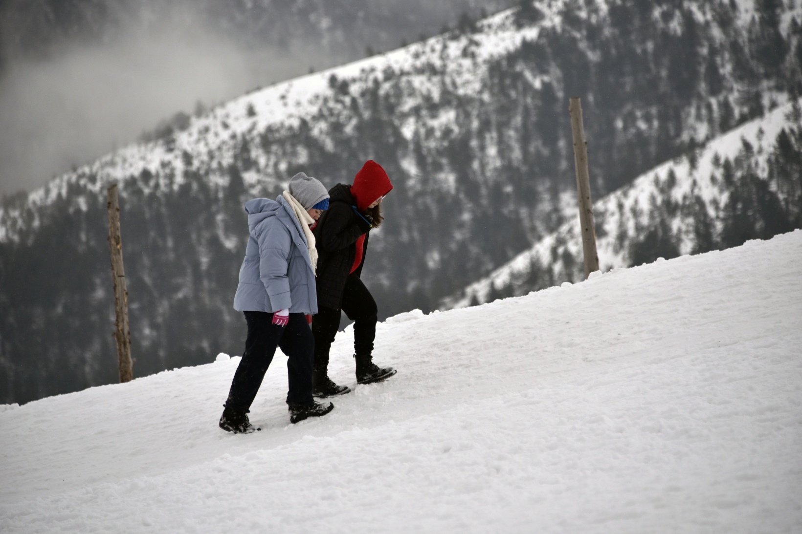 Zigana Kayak Merkezi karne tatilinde 43 bin kişiyi ağırladı 11