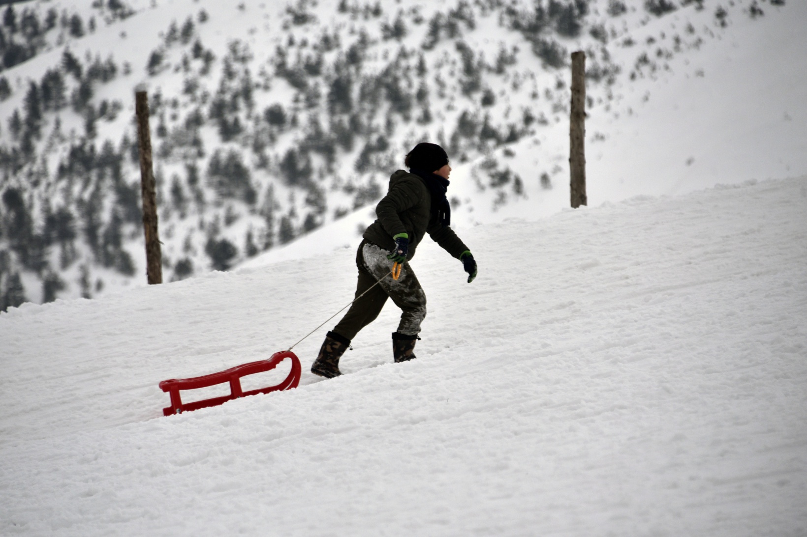 Zigana Kayak Merkezi karne tatilinde 43 bin kişiyi ağırladı 12