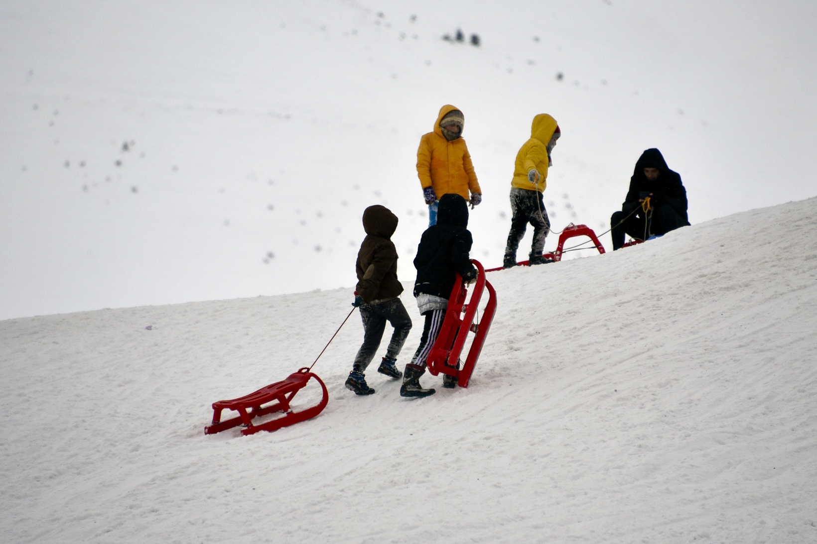 Zigana Kayak Merkezi karne tatilinde 43 bin kişiyi ağırladı 8