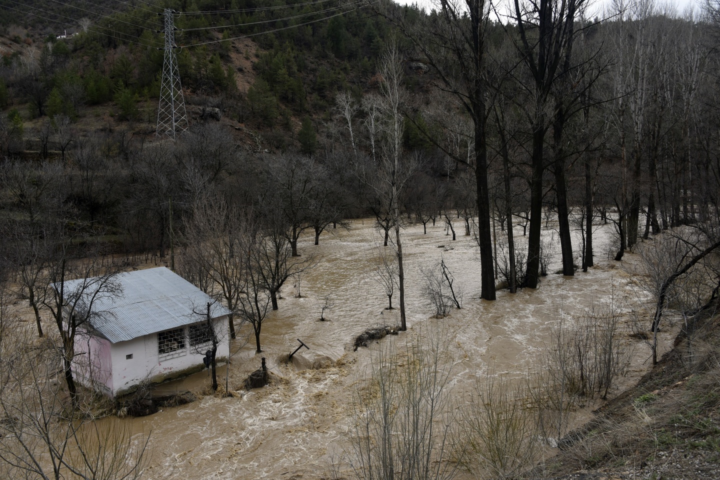 Gümüşhane’de yağmur dereleri taşırdı 15