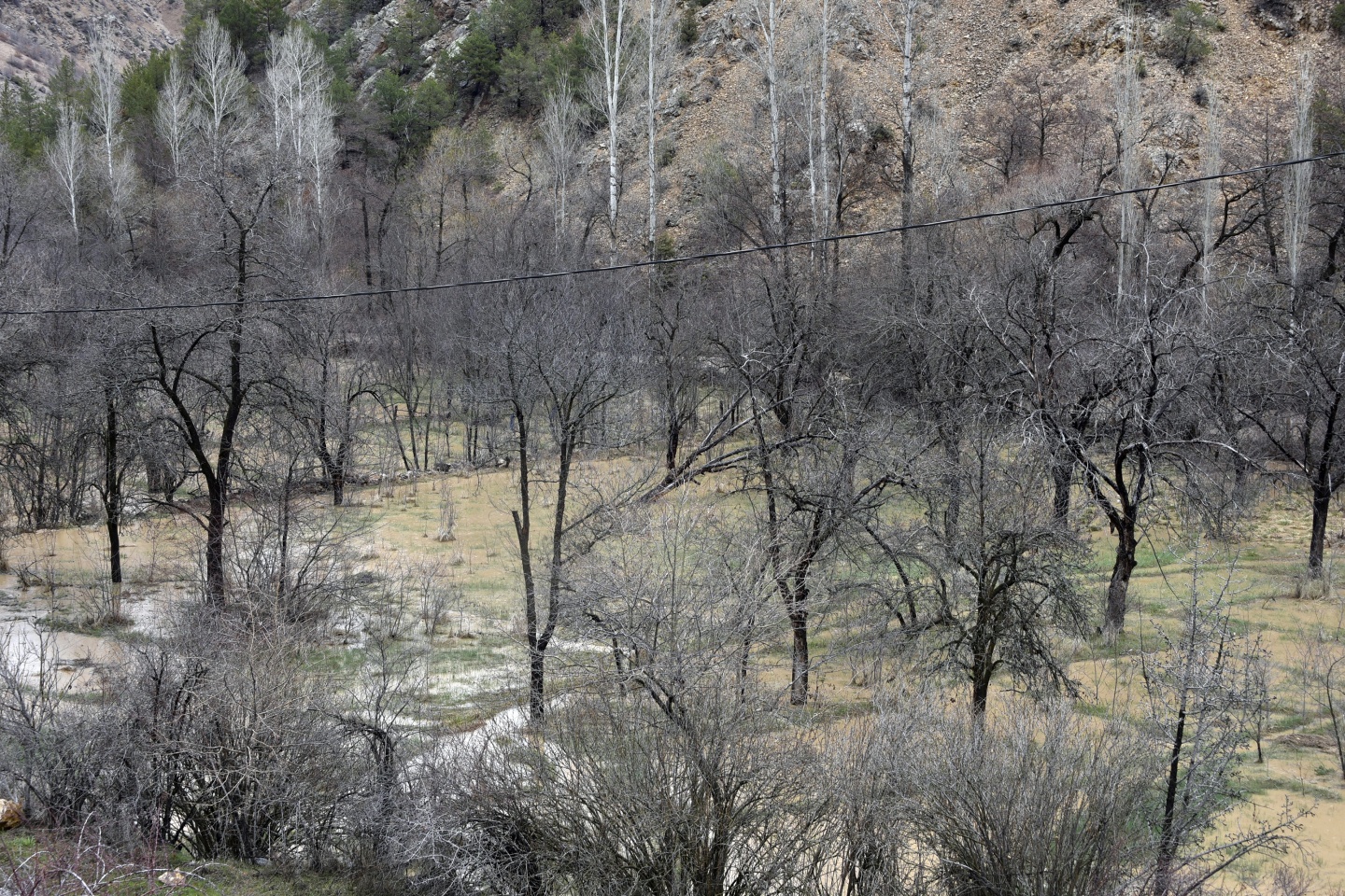 Gümüşhane’de yağmur dereleri taşırdı 23