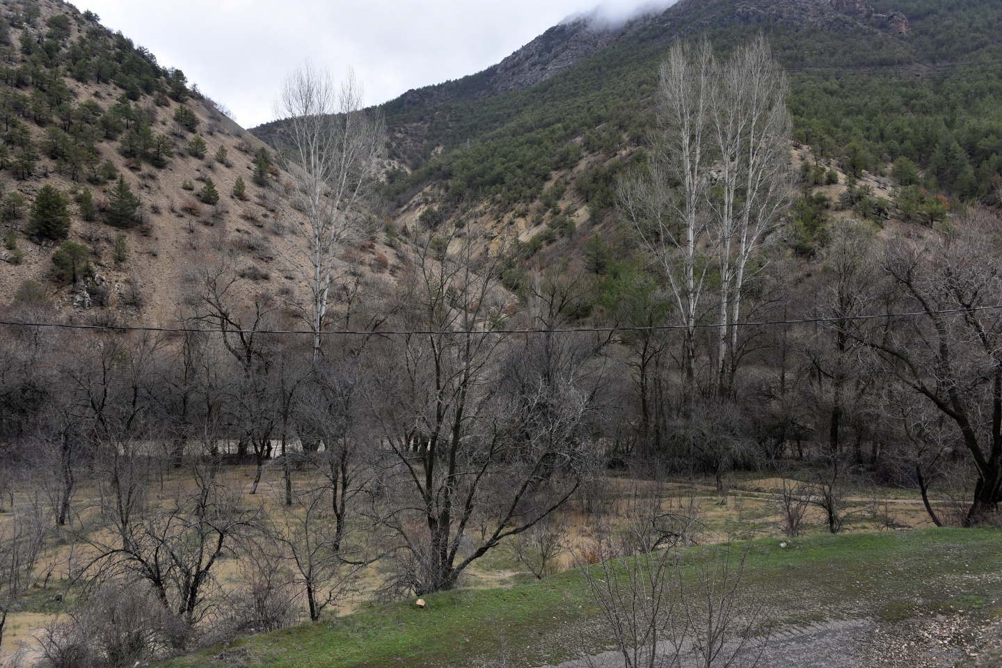 Gümüşhane’de yağmur dereleri taşırdı 14