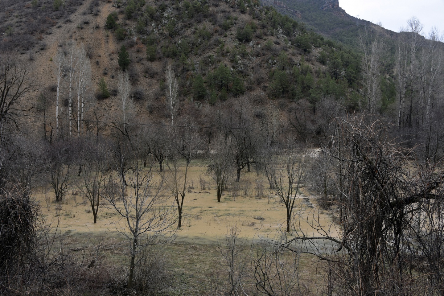 Gümüşhane’de yağmur dereleri taşırdı 20