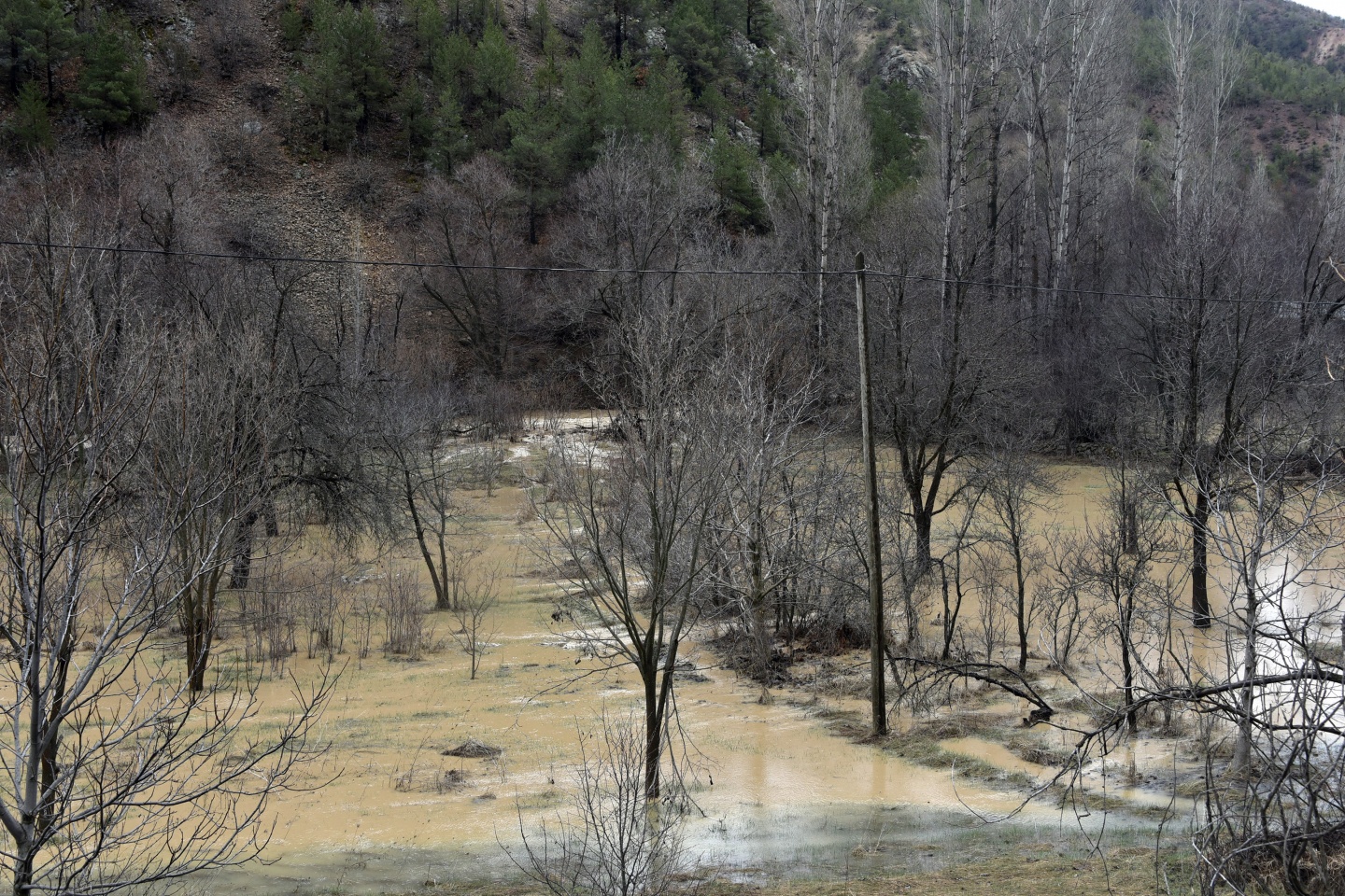 Gümüşhane’de yağmur dereleri taşırdı 31