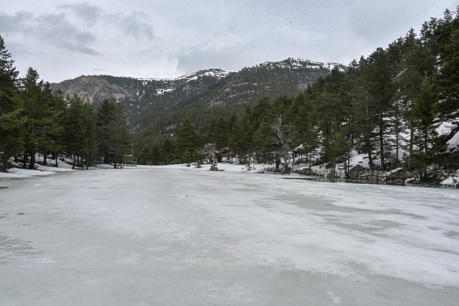 Limni gölünde sezon hızlı başladı 12