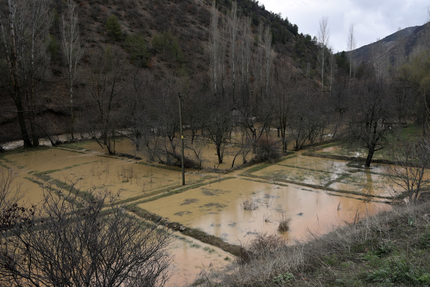 Gümüşhane’de yağmur dereleri taşırdı 13