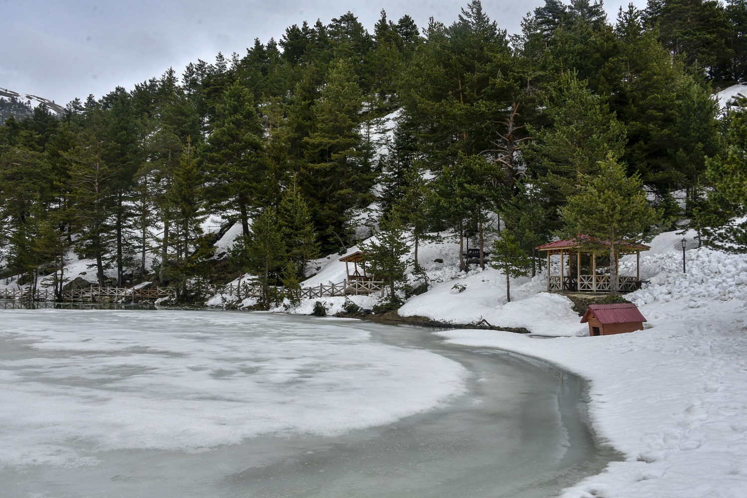Limni gölünde sezon hızlı başladı 17