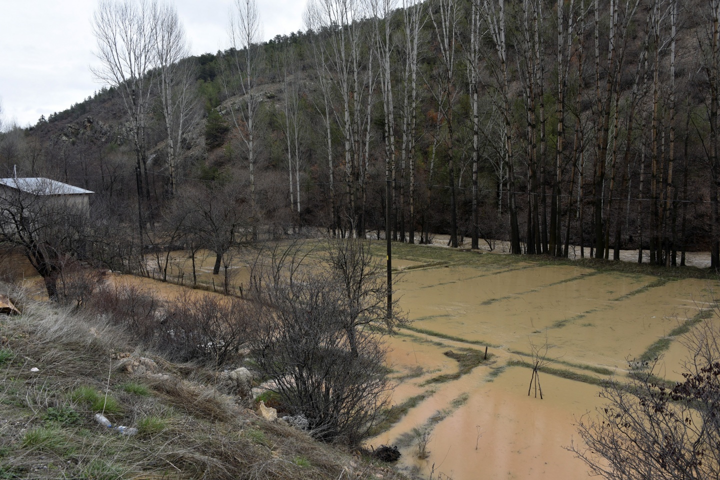 Gümüşhane’de yağmur dereleri taşırdı 11