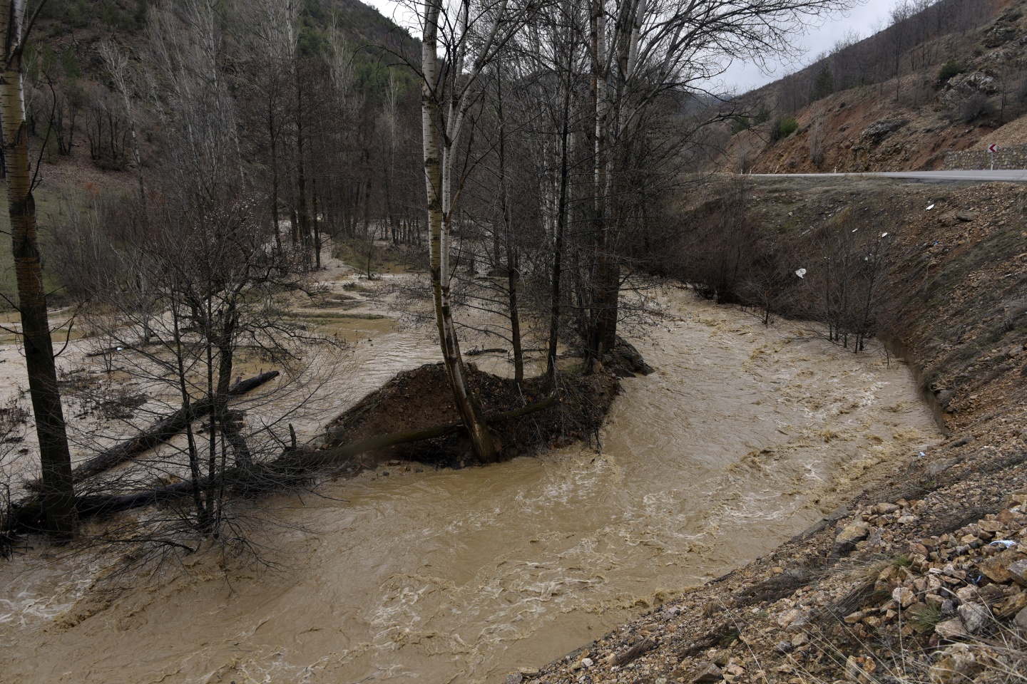 Gümüşhane’de yağmur dereleri taşırdı 28