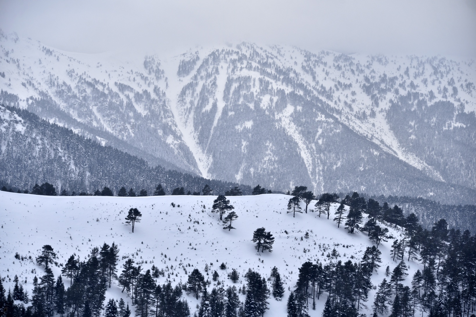 Zigana Kayak Merkezi karne tatilinde 43 bin kişiyi ağırladı 13