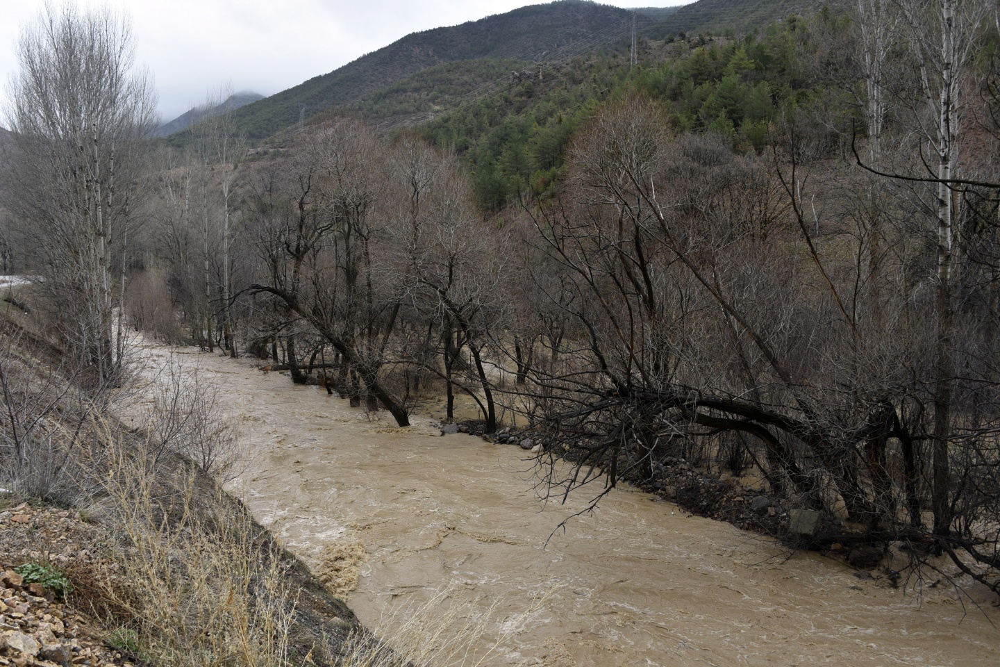 Gümüşhane’de yağmur dereleri taşırdı 27