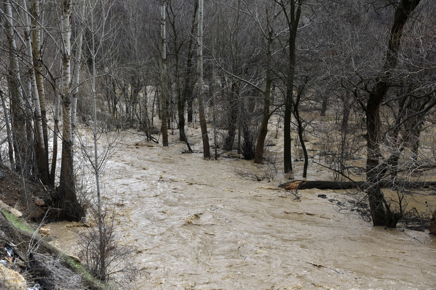 Gümüşhane’de yağmur dereleri taşırdı 18