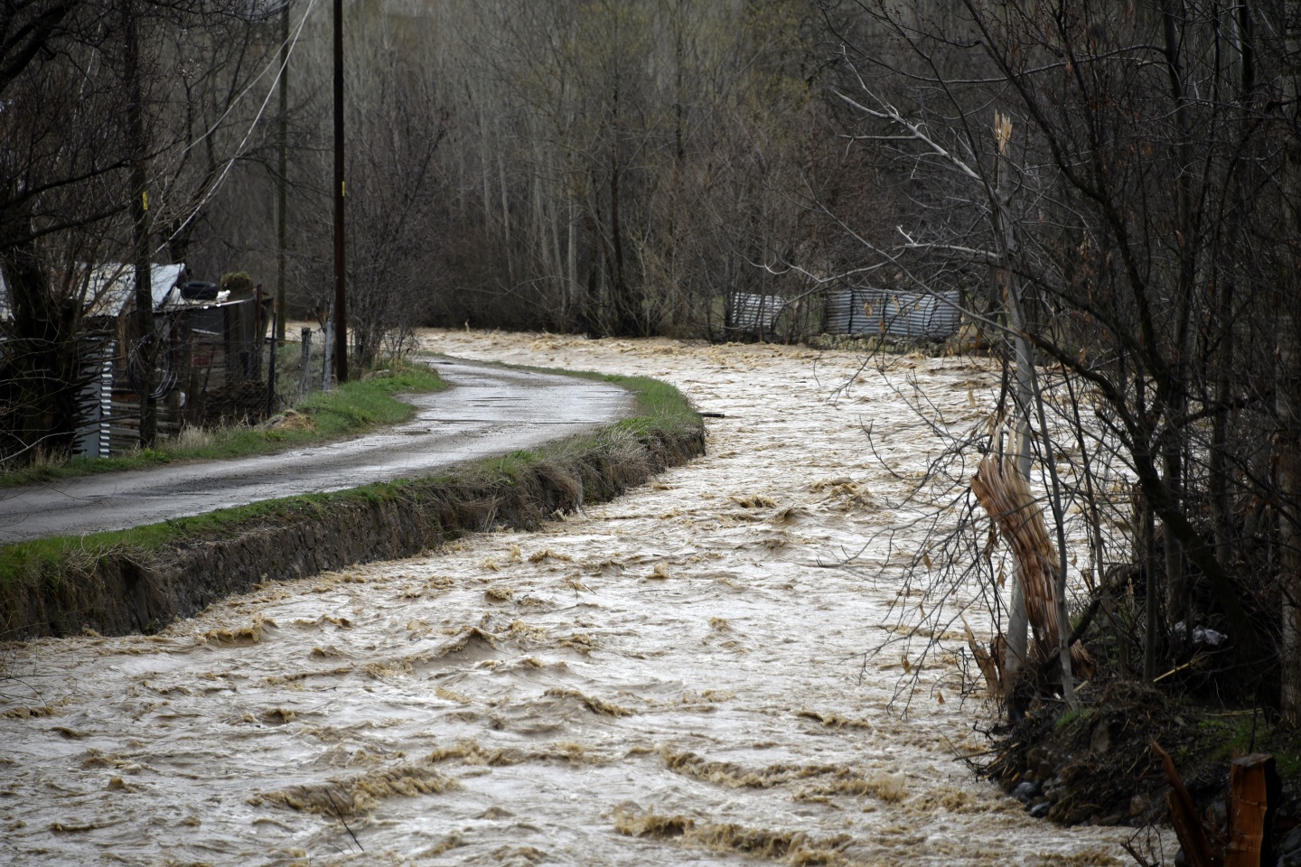 Gümüşhane’de yağmur dereleri taşırdı 21