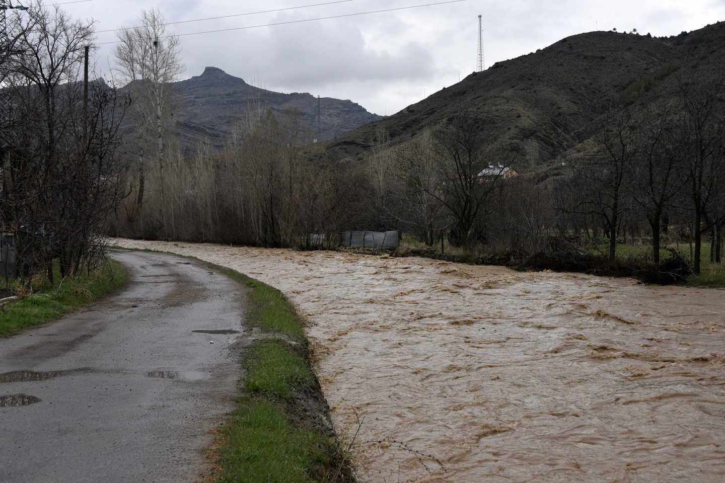Gümüşhane’de yağmur dereleri taşırdı 17