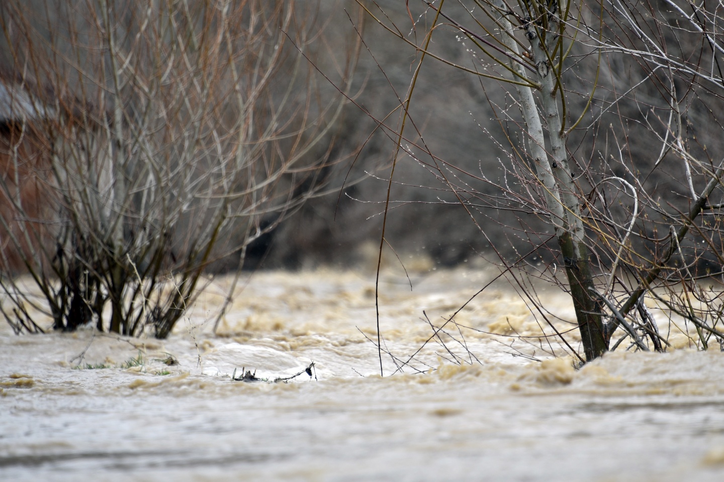 Gümüşhane’de yağmur dereleri taşırdı 16
