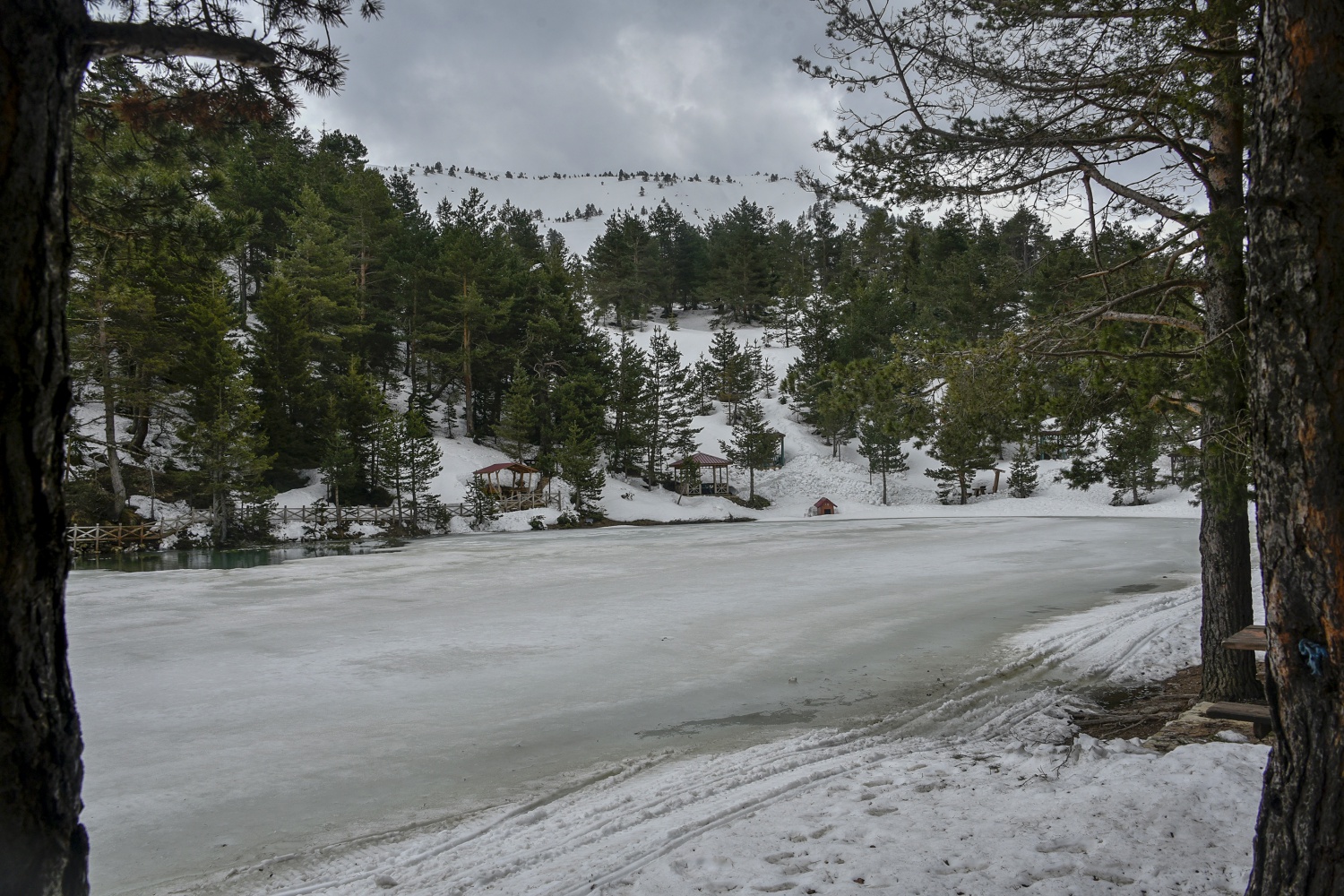 Limni gölünde sezon hızlı başladı 20