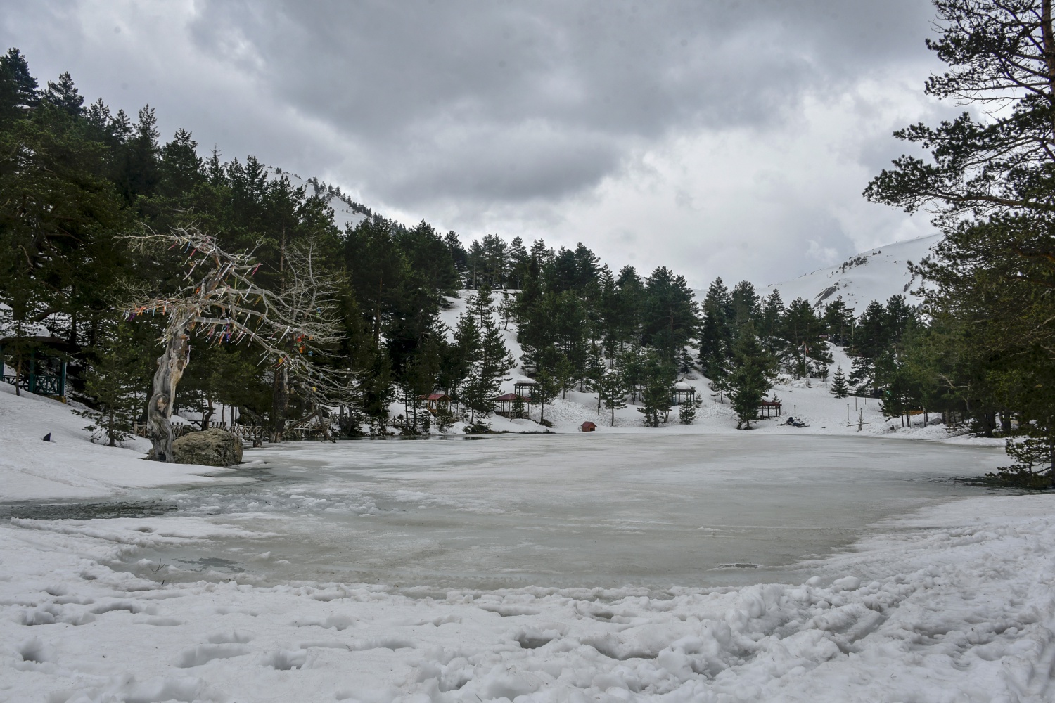 Limni gölünde sezon hızlı başladı 15